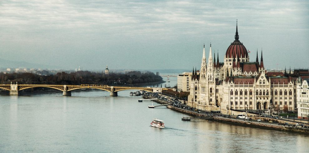 pexels-dominikagregus-732057