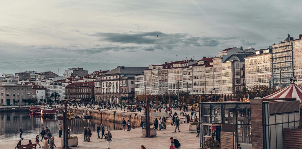 pexels-tanhauser-14252646