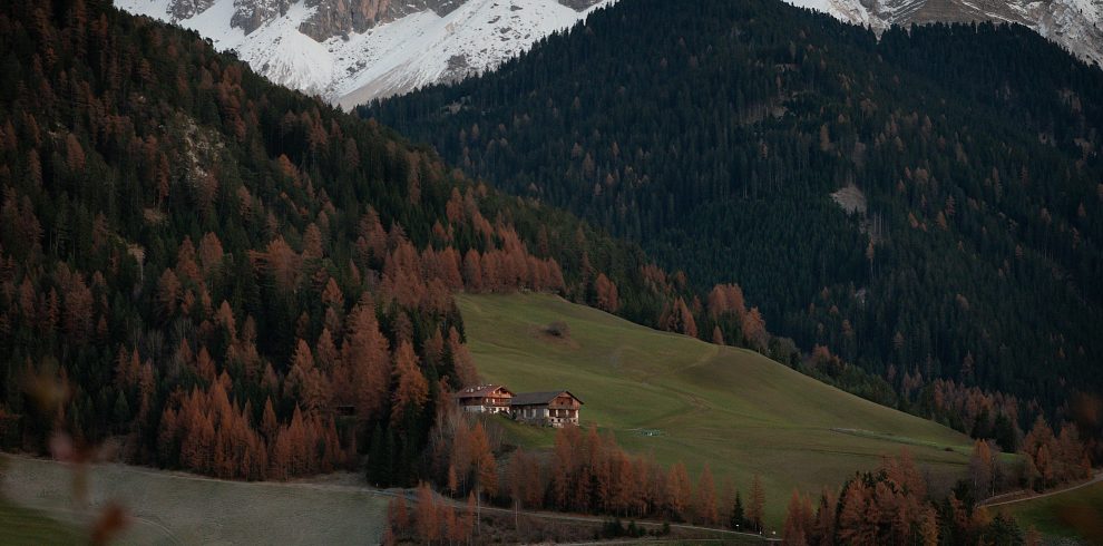 pexels-grisentig-4215113